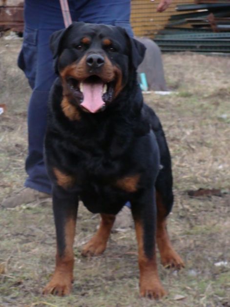 2009-februar_rott_035_.jpg